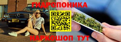 гашик Ипатово