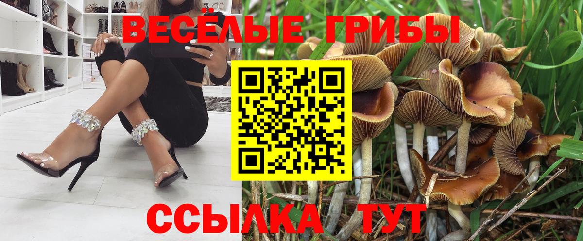 Галлюциногенные грибы MAGIC MUSHROOMS Ленинск-Кузнецкий